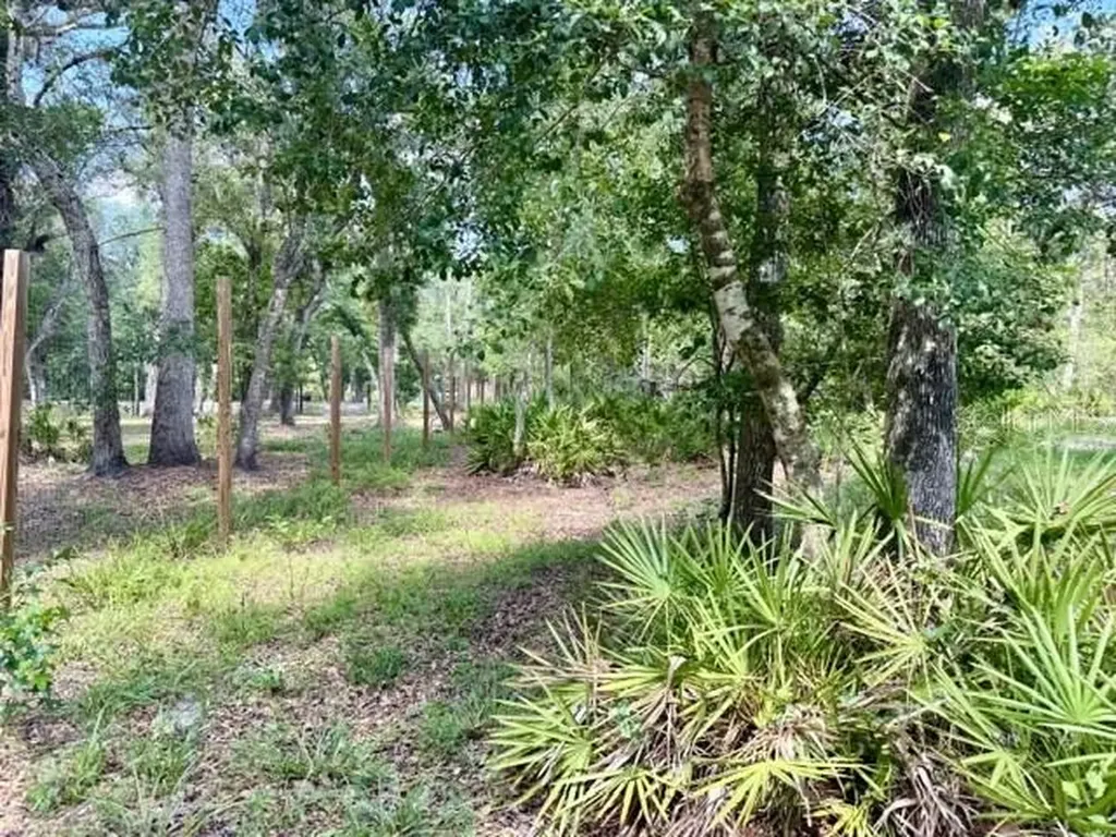 1109 NW 78th Avenue Bell FL 32619