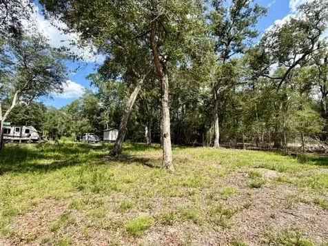 1109 NW 78th Avenue Bell FL 32619