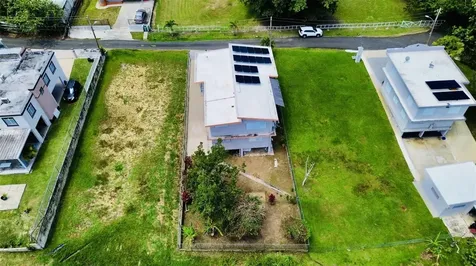 Bo Ceiba Sur Sector Canal Solar #6 Juncos PR 00777
