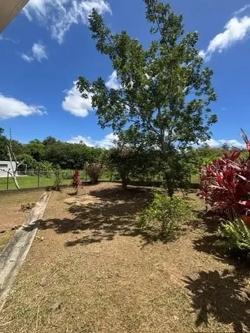 Bo Ceiba Sur Sector Canal Solar #6 Juncos PR 00777