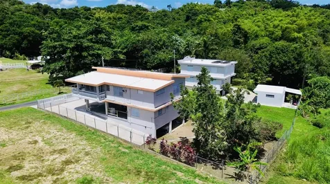 Bo Ceiba Sur Sector Canal Solar #6 Juncos PR 00777