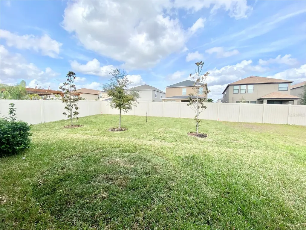 21036 Wistful Yearn Drive Land O Lakes FL 34637