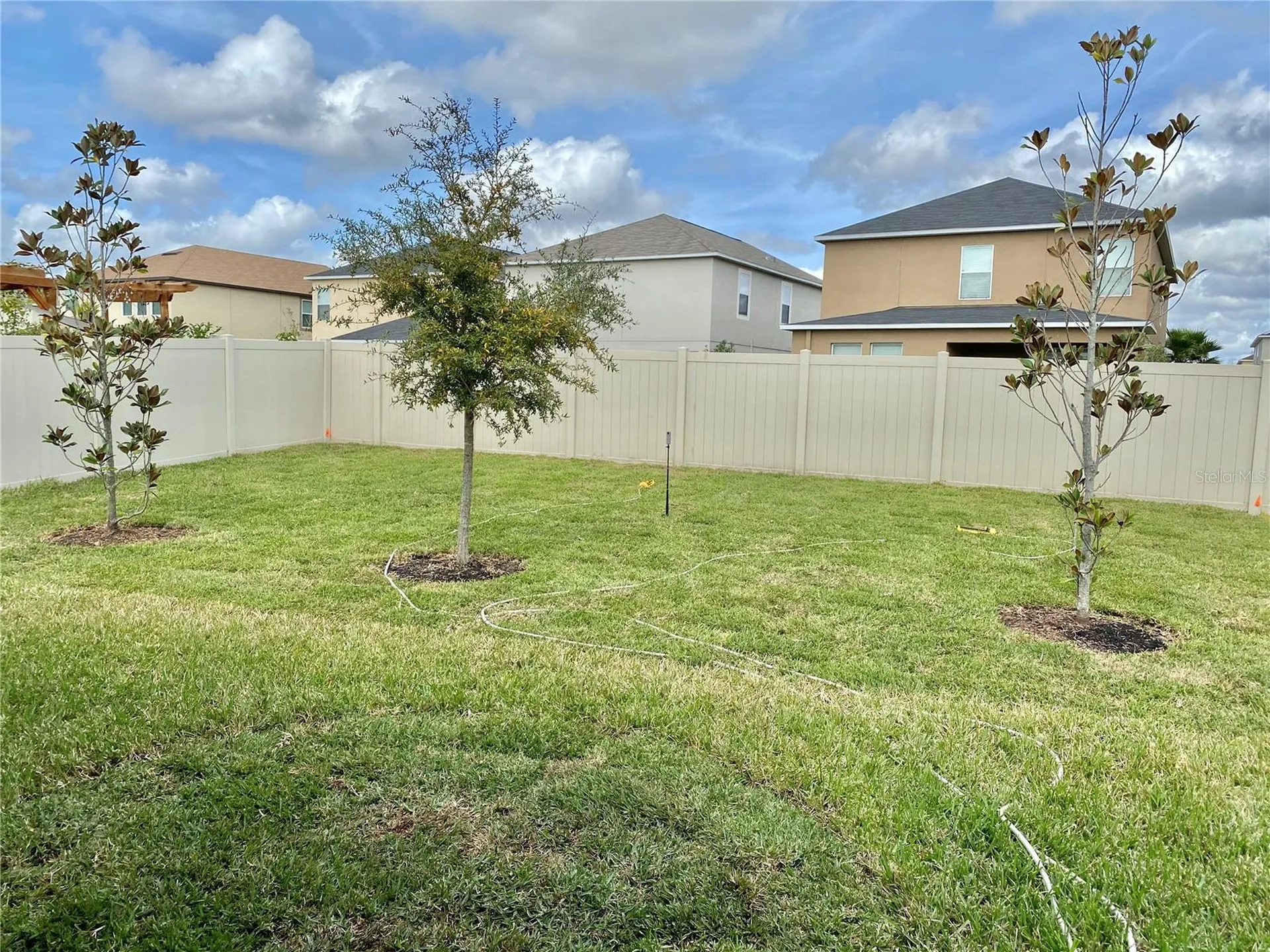 21036 Wistful Yearn Drive Land O Lakes FL 34637