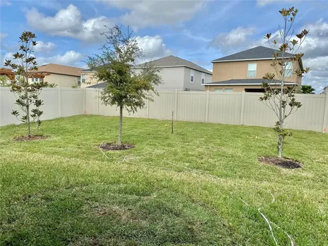 21036 Wistful Yearn Drive Land O Lakes FL 34637