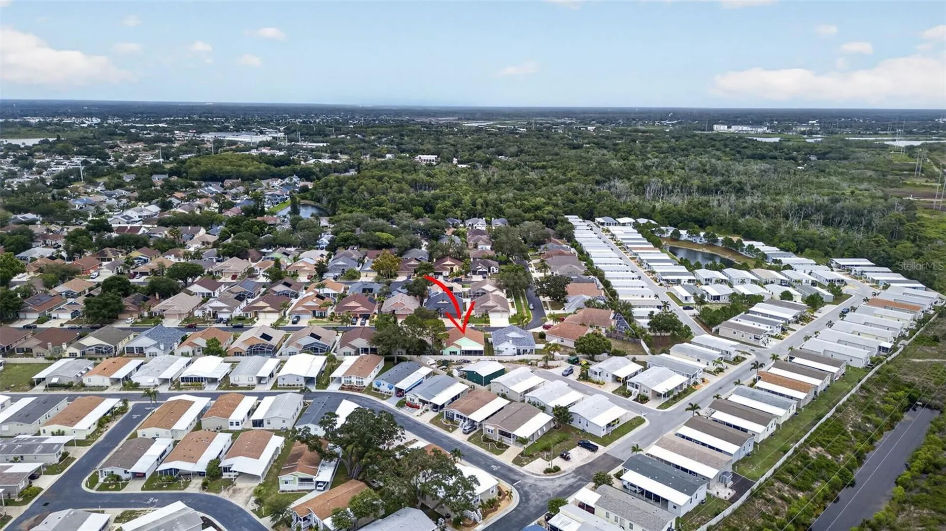 1747 Wood Brook Street Tarpon Springs FL 34689
