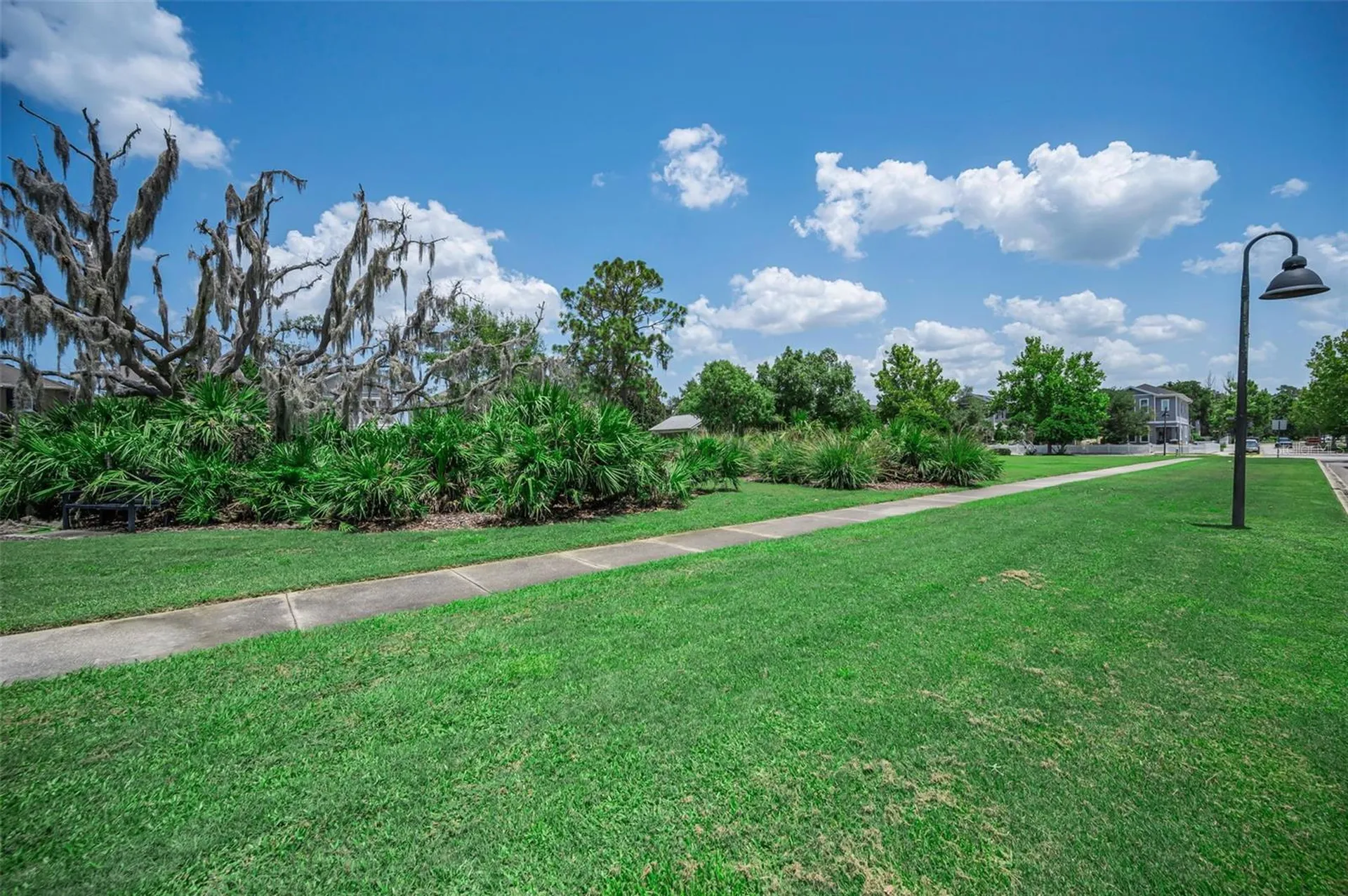 3436 Lonzalo Way New Port Richey FL 34655