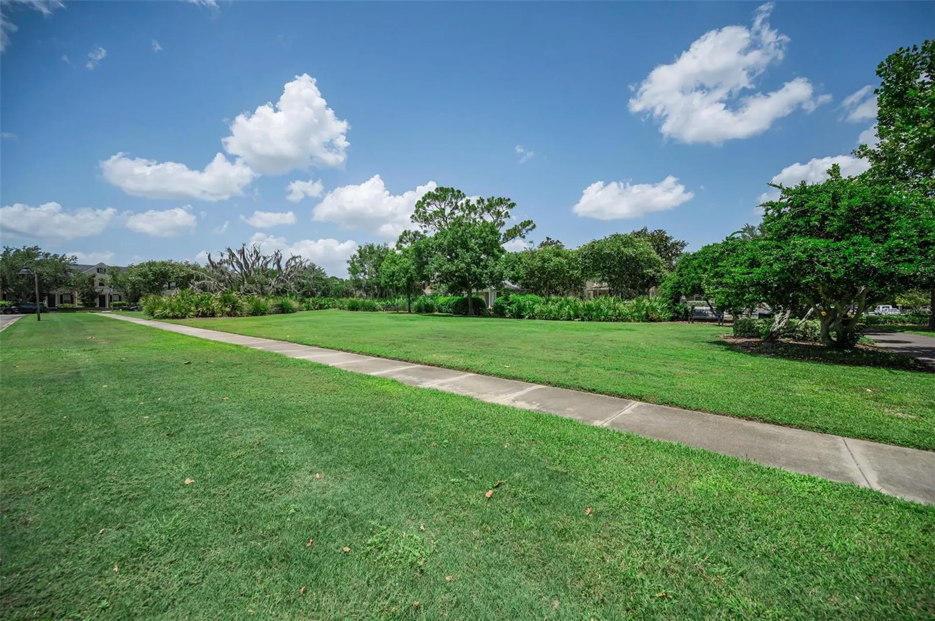 3436 Lonzalo Way New Port Richey FL 34655