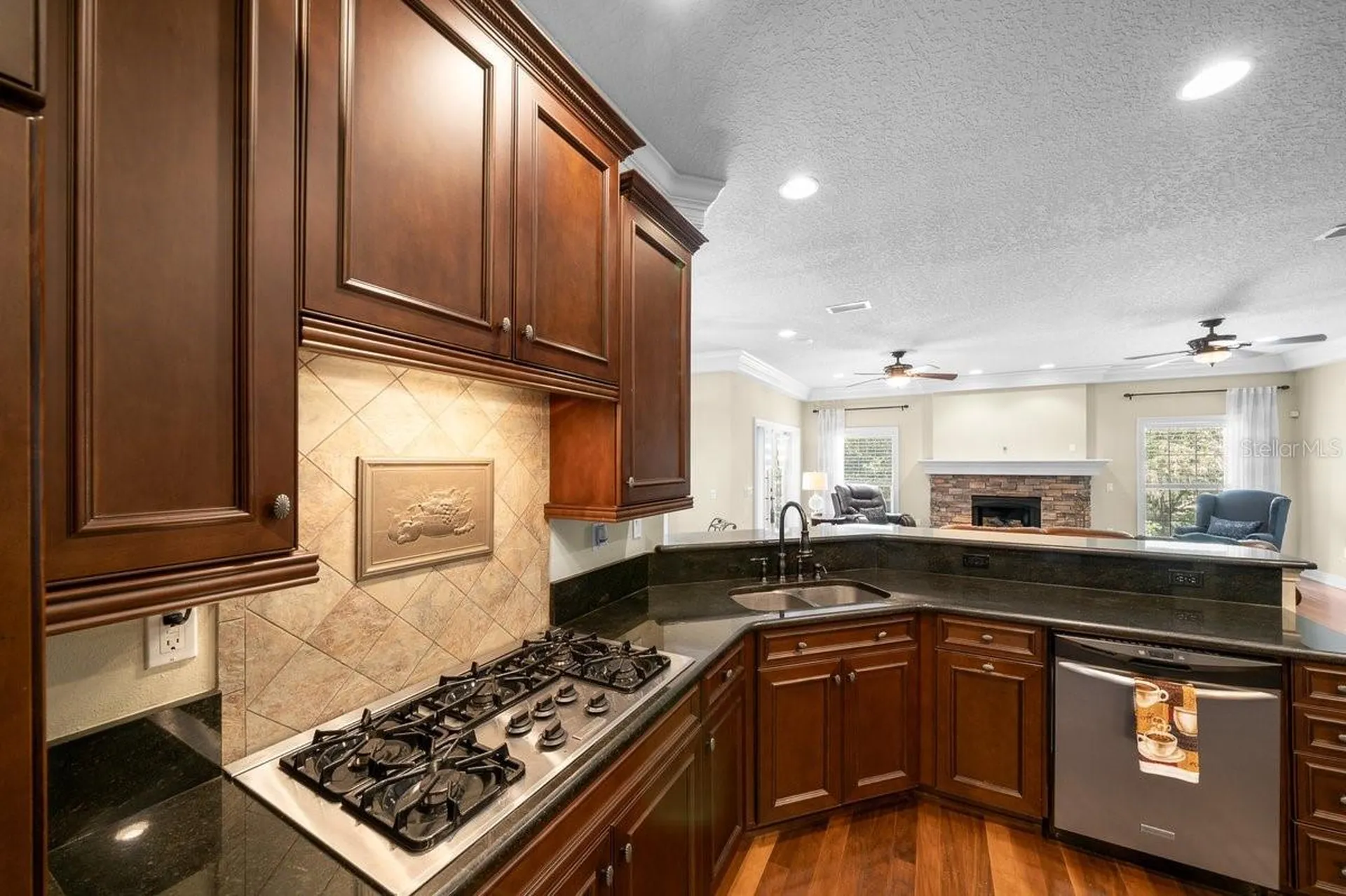 1251 Magnolia Farms Court Eustis FL 32726