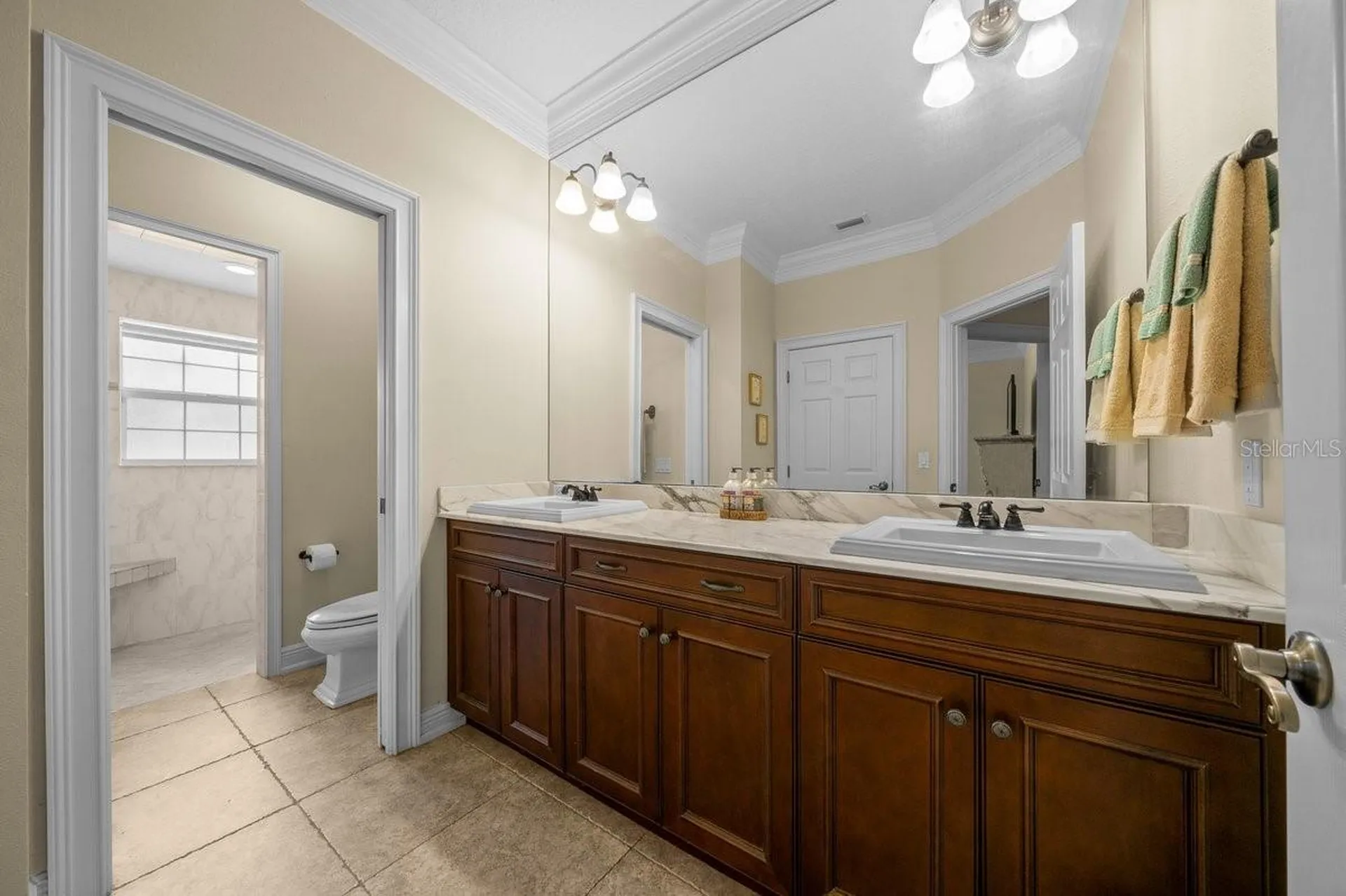 1251 Magnolia Farms Court Eustis FL 32726