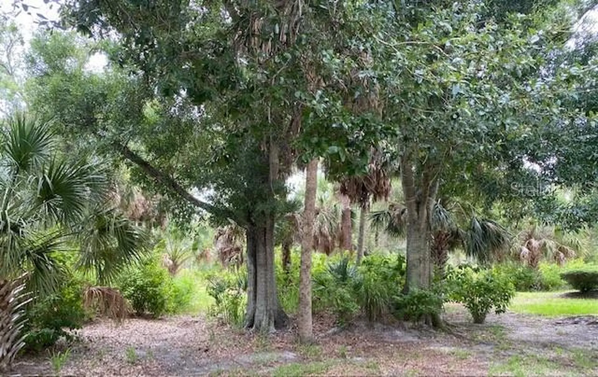 1275 Berkshire Circle Venice FL 34292