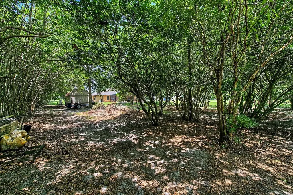 27928 Austin Woods Drive Dade City FL 33525