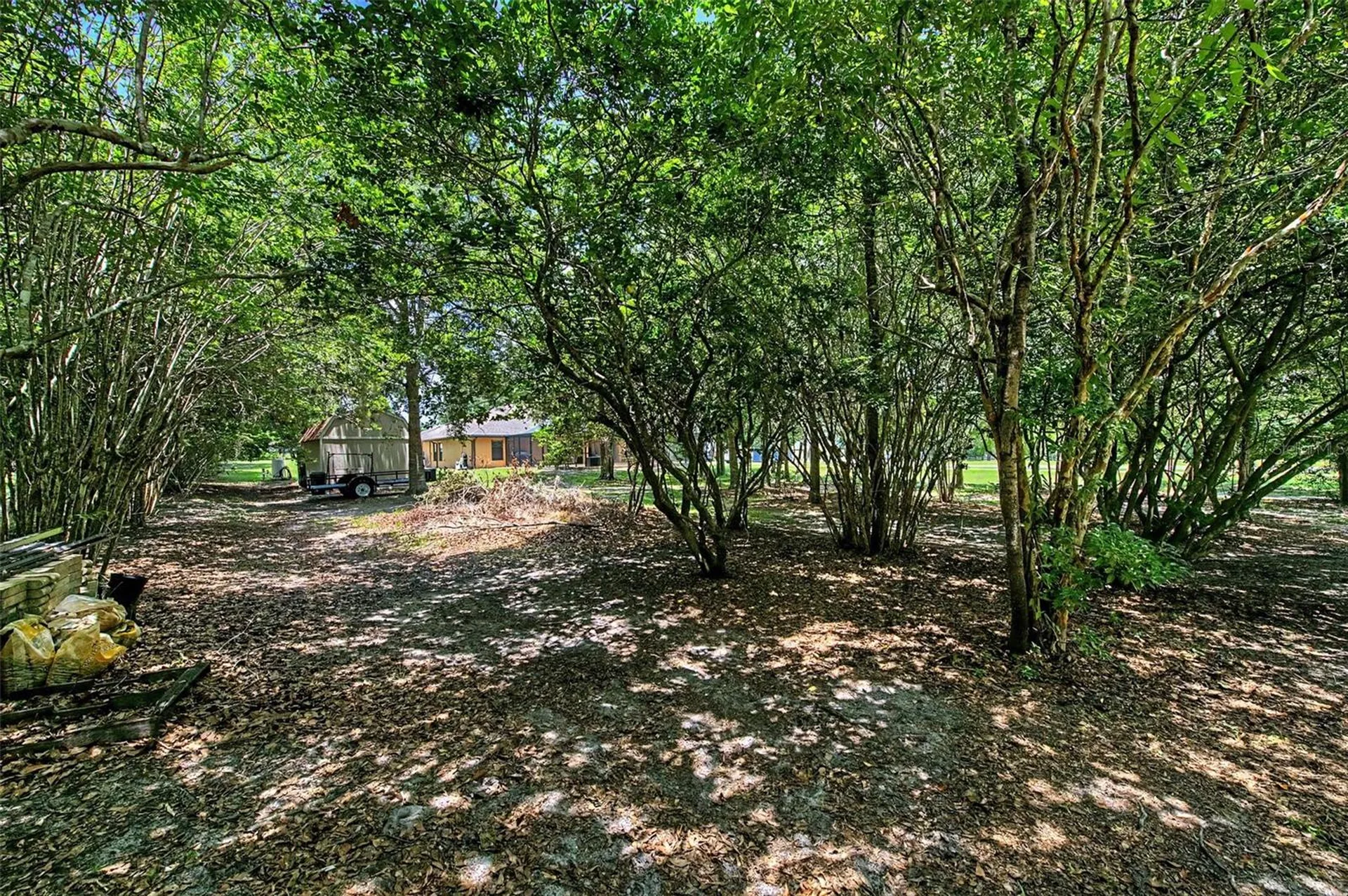 27928 Austin Woods Drive Dade City FL 33525
