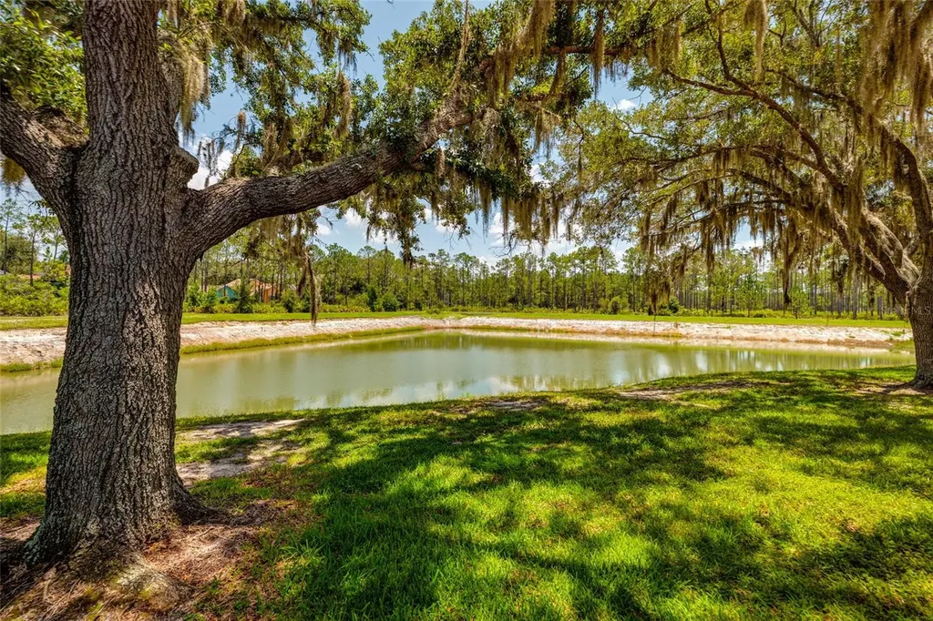 17557 Fairmeadow Drive Tampa FL 33647