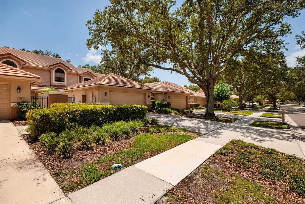 17557 Fairmeadow Drive Tampa FL 33647