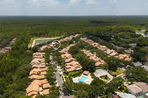 17557 Fairmeadow Drive Tampa FL 33647
