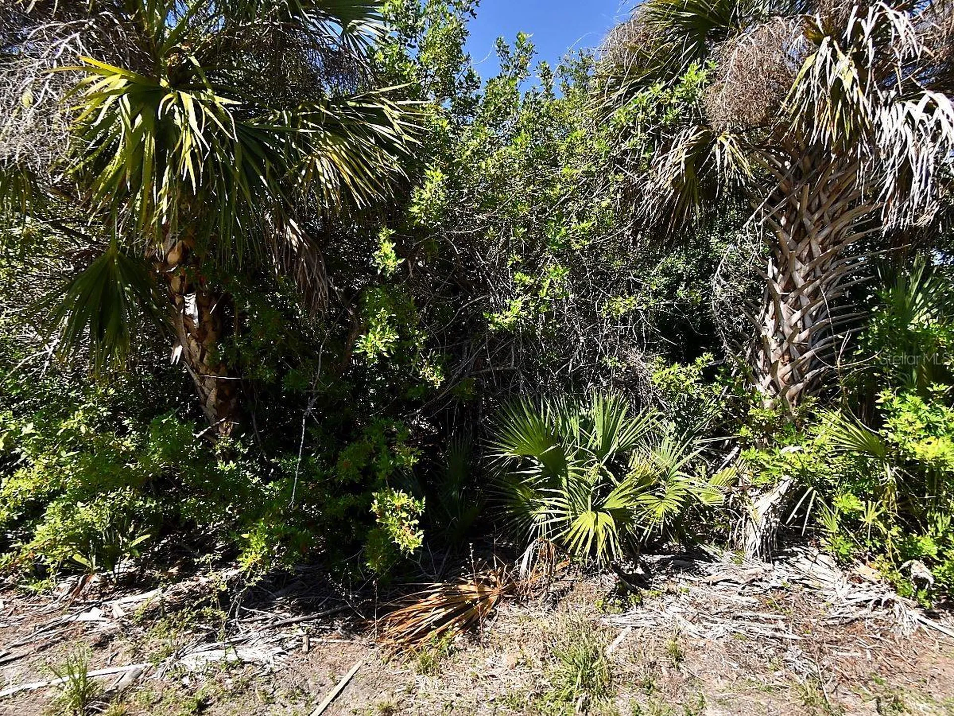 Wheeling Avenue North Port FL 34288