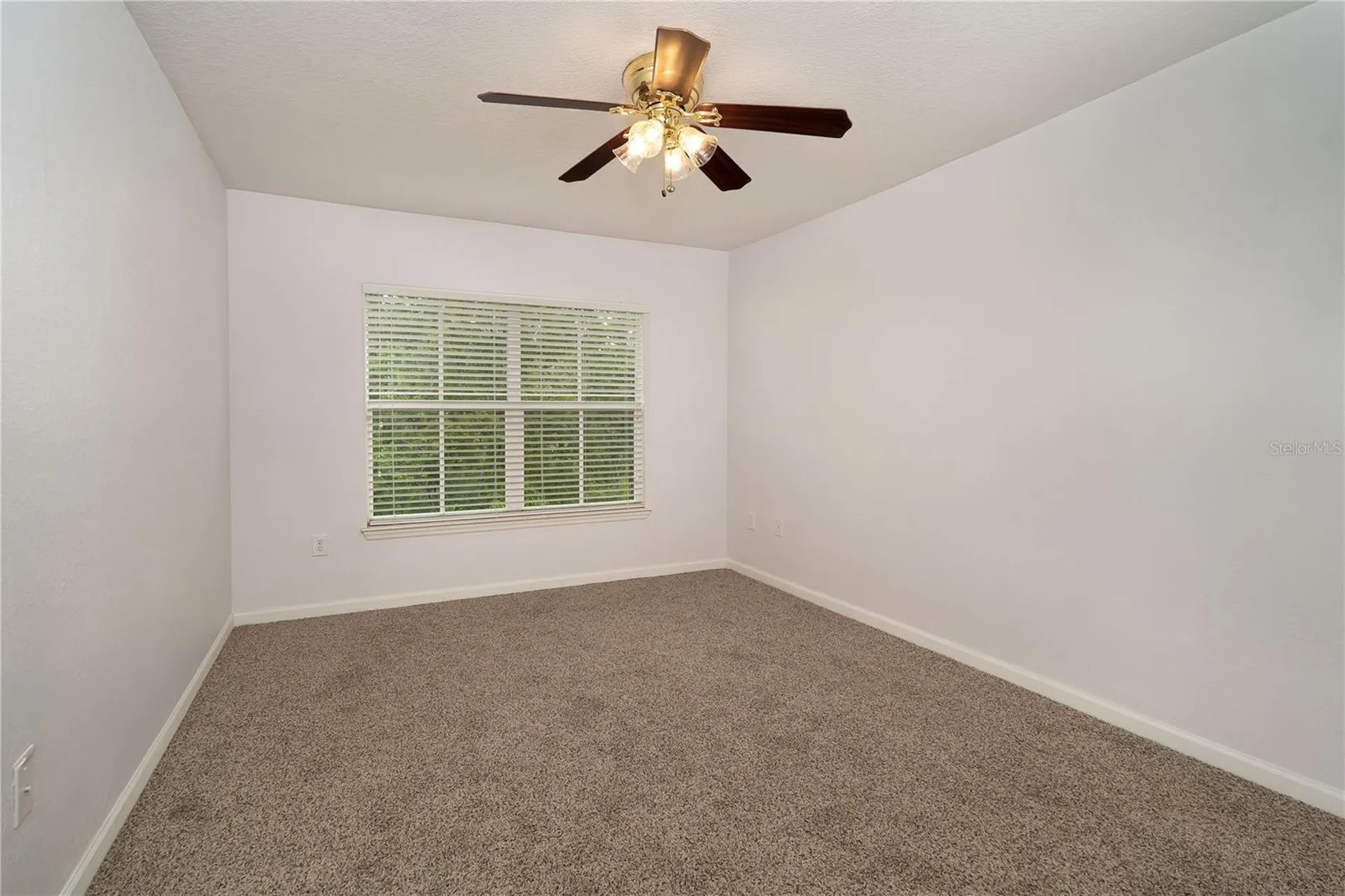 7818 Bally Money Road Tampa FL 33610