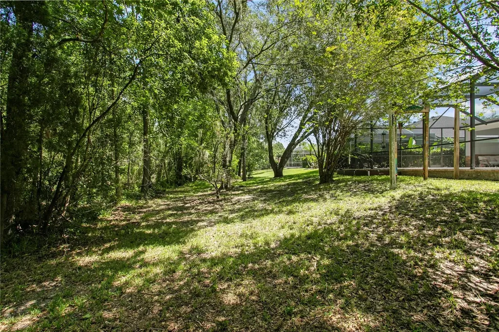 2113 Climbing Ivy Drive Tampa FL 33618