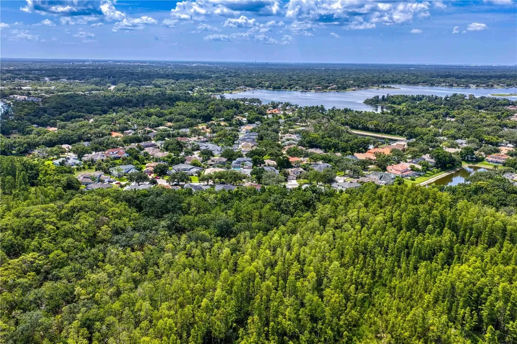 2113 Climbing Ivy Drive Tampa FL 33618