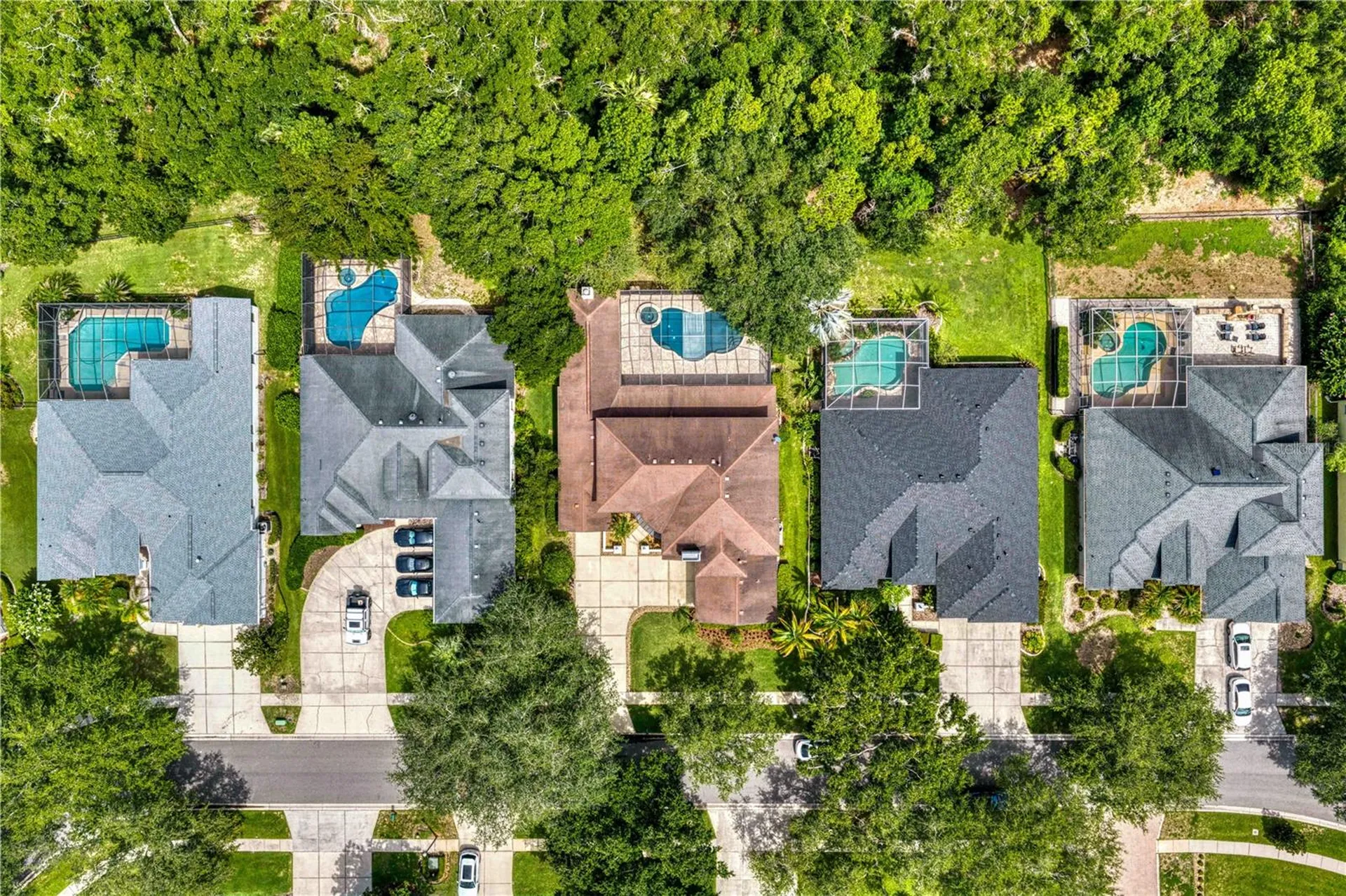 2113 Climbing Ivy Drive Tampa FL 33618