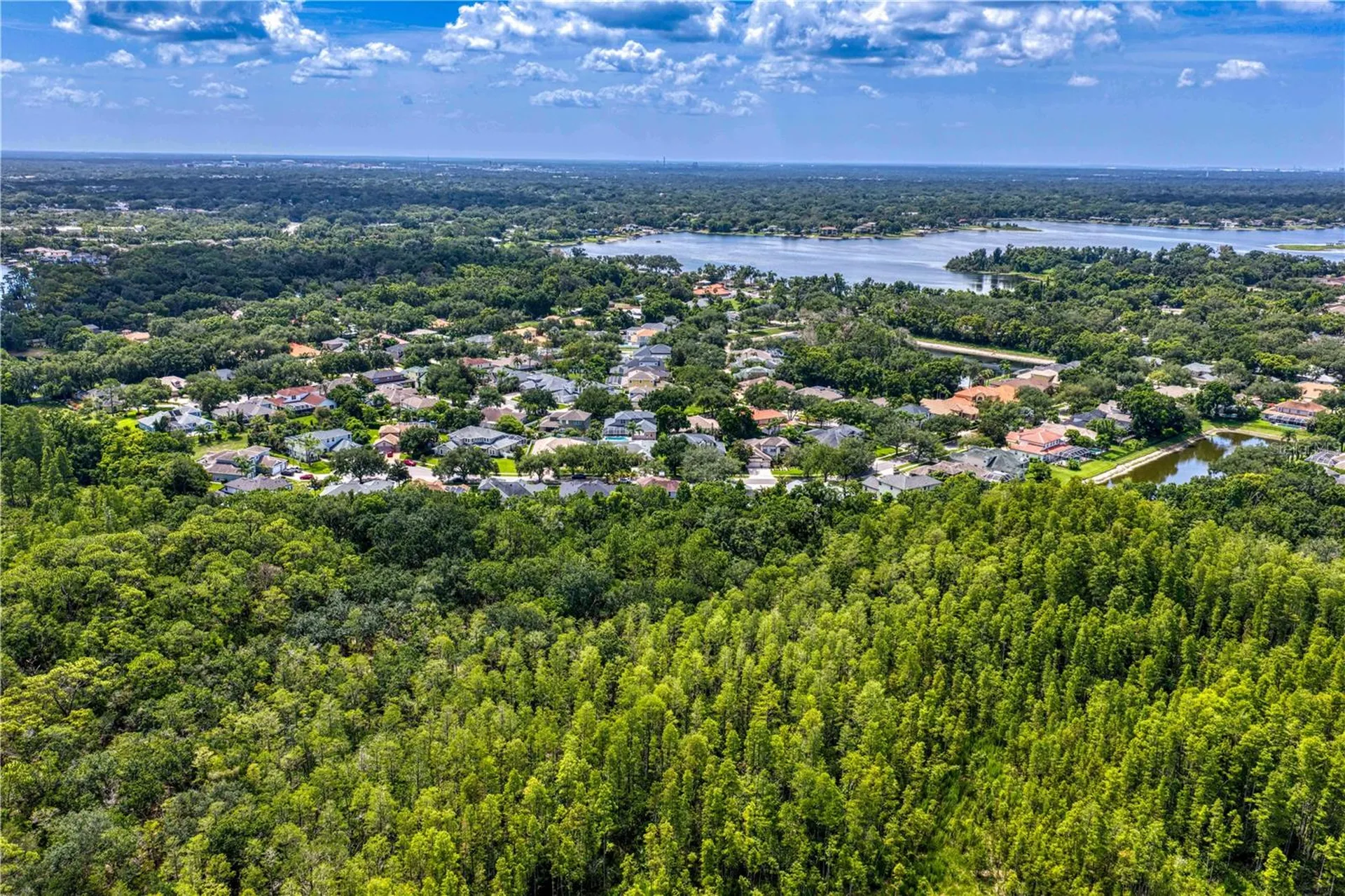 2113 Climbing Ivy Drive Tampa FL 33618