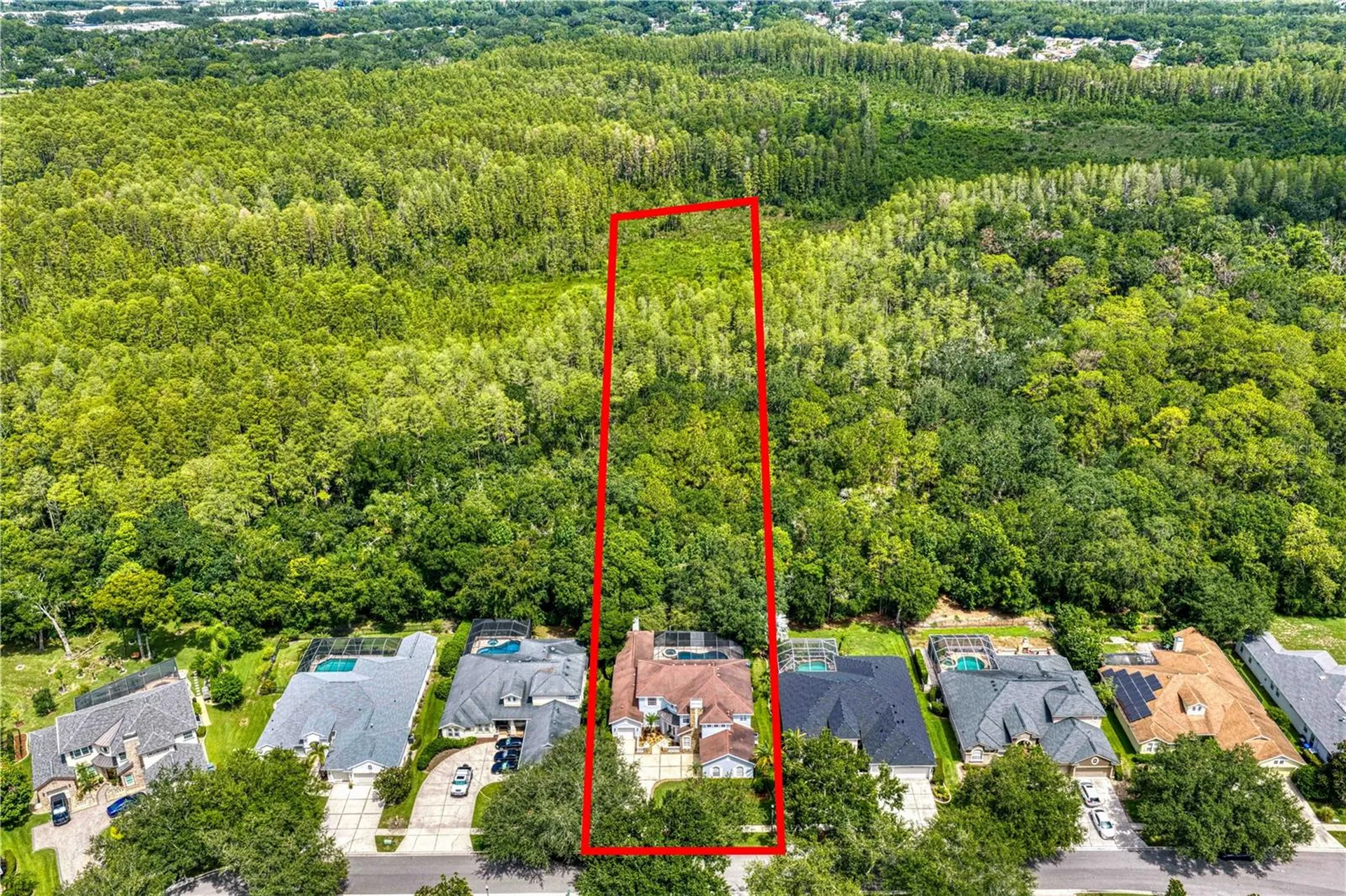 2113 Climbing Ivy Drive Tampa FL 33618