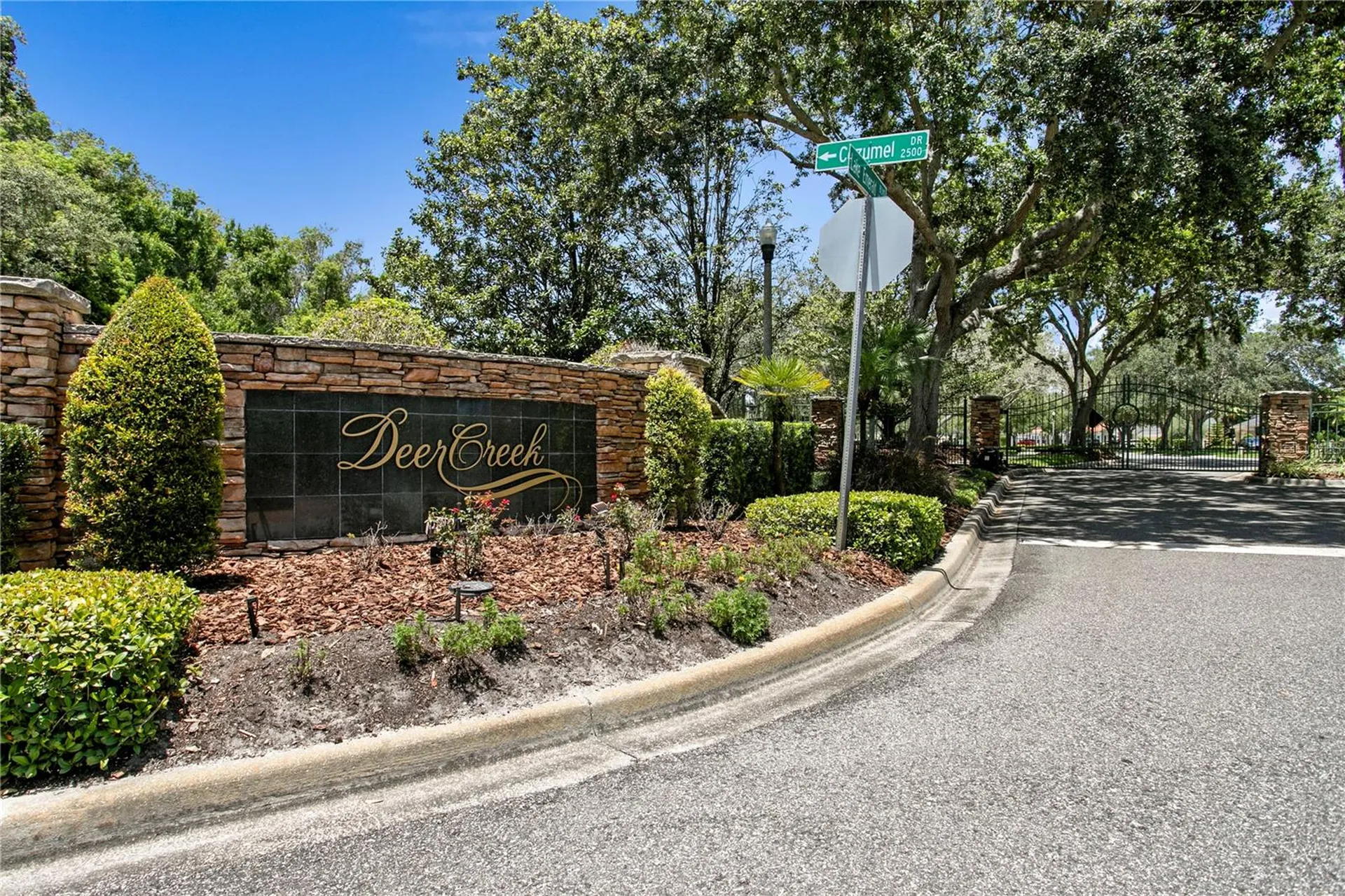 2113 Climbing Ivy Drive Tampa FL 33618