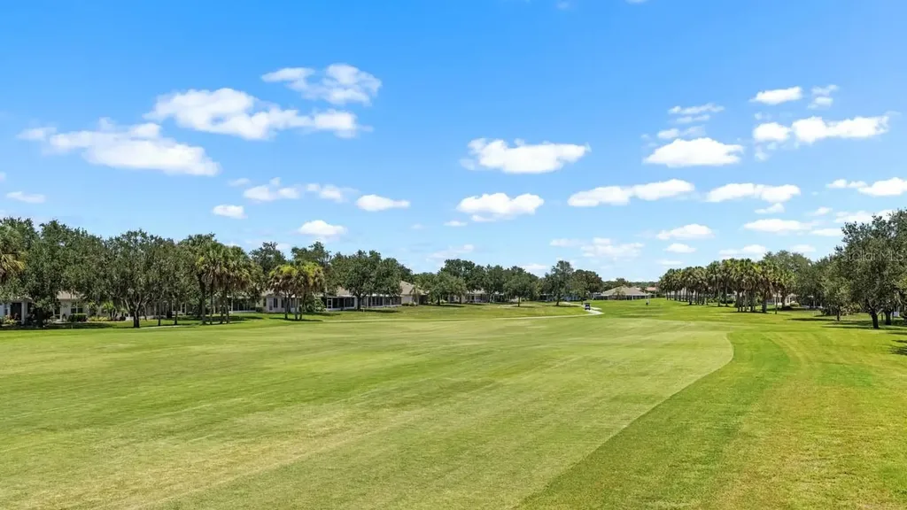 1148 Corinth Greens Drive Sun City Center FL 33573