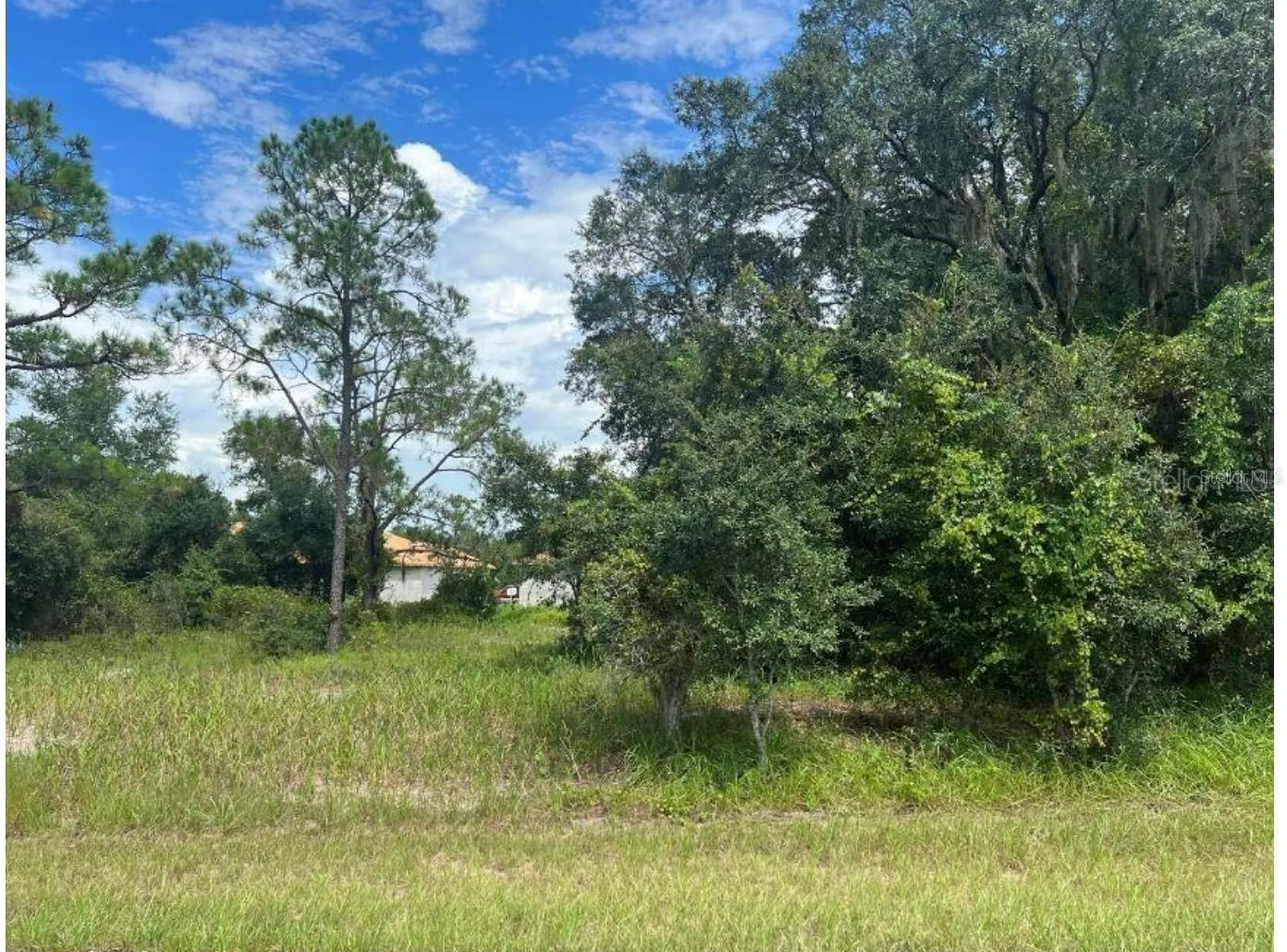 1336 Hillsborough Court Poinciana FL 34759