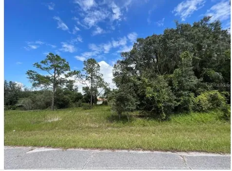 1336 Hillsborough Court Poinciana FL 34759