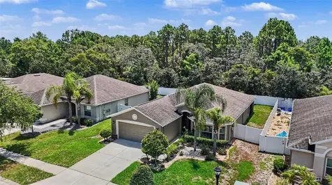 10048 Ives Loop Hudson FL 34667