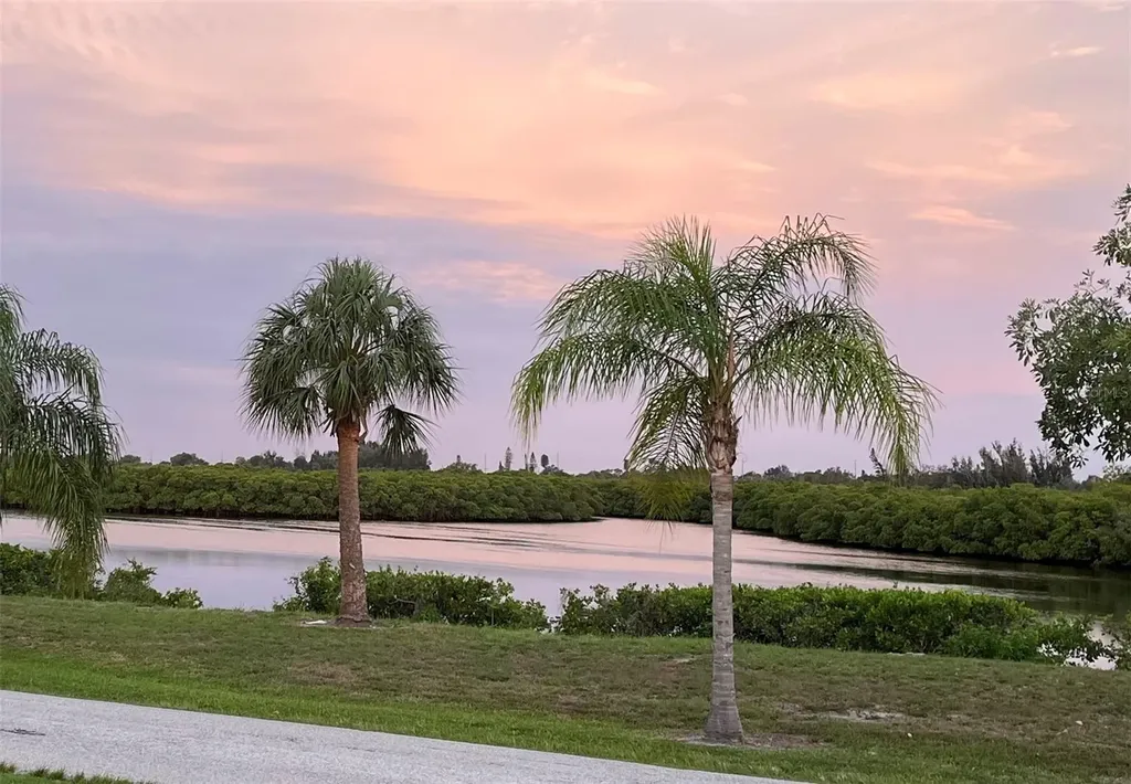 809 Timeless Moss Drive Ruskin FL 33570