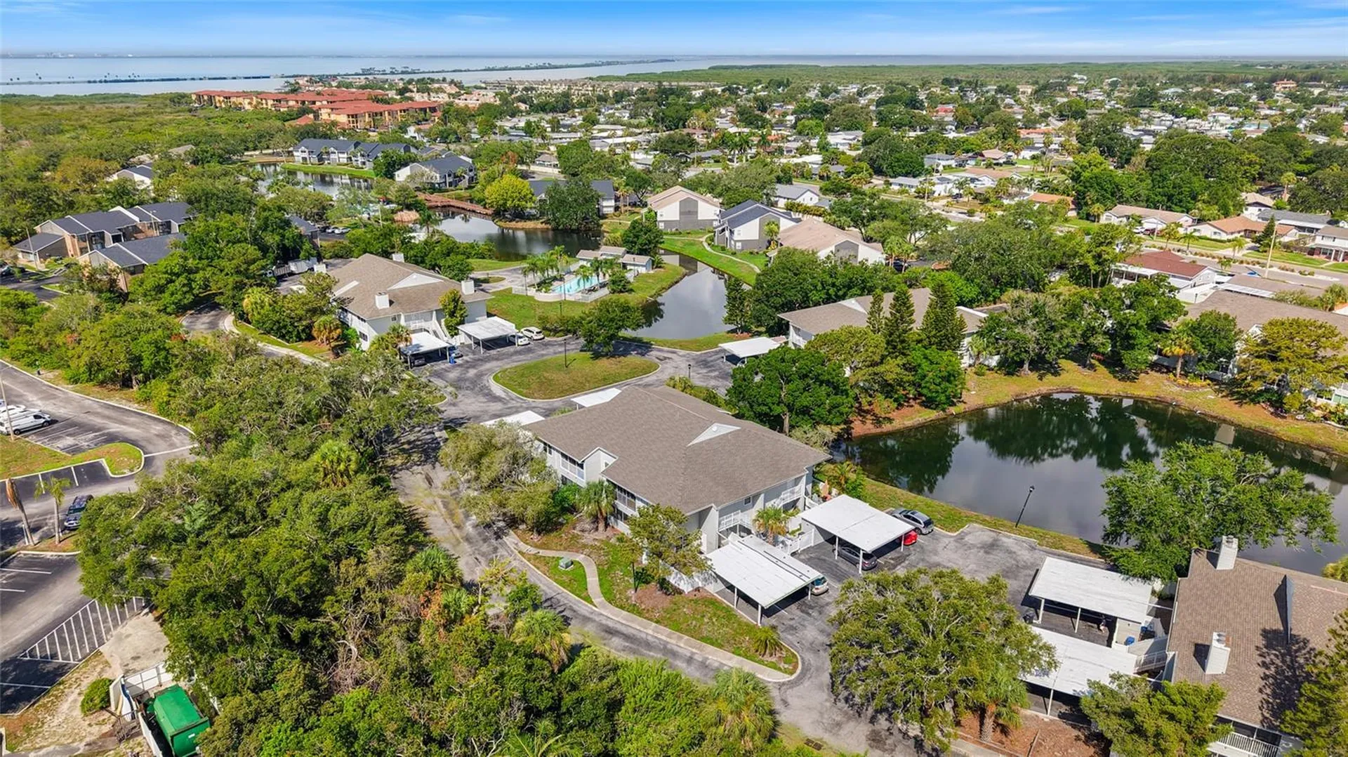 8350 Savannah Trace Circle Tampa FL 33615