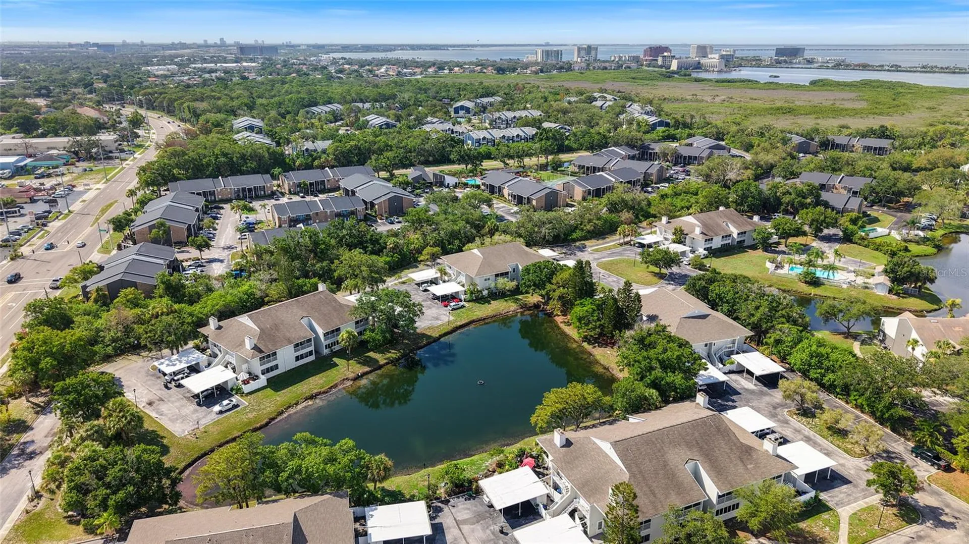 8350 Savannah Trace Circle Tampa FL 33615