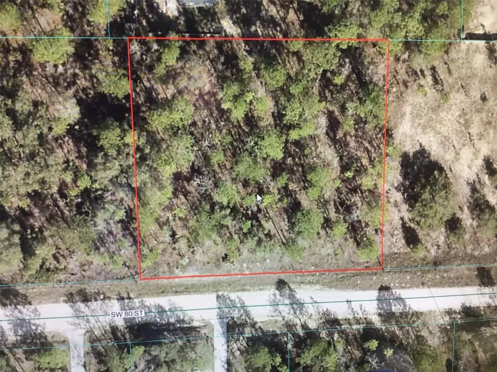0 80 Street Dunnellon FL 34432
