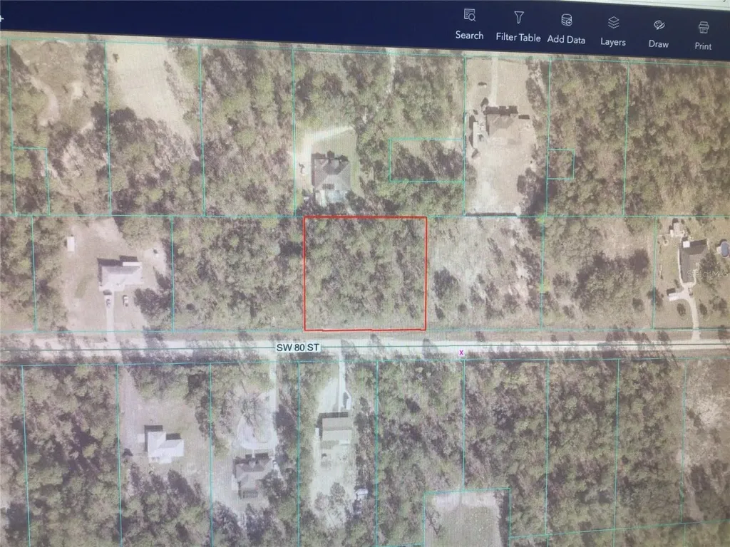 0 80 Street Dunnellon FL 34432