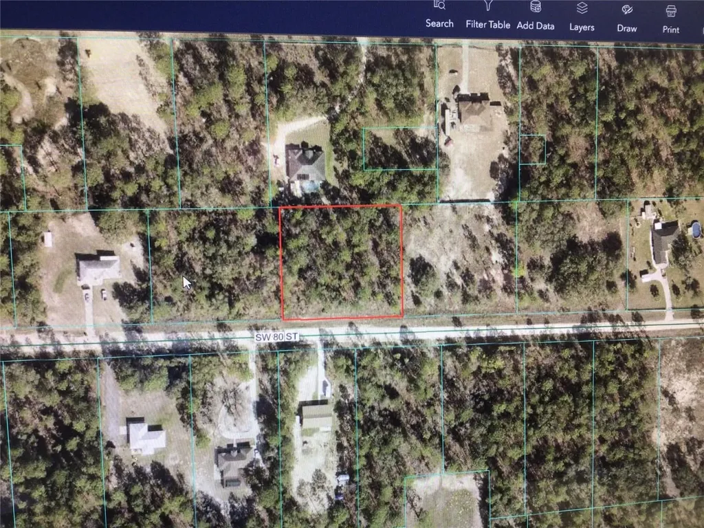 0 80 Street Dunnellon FL 34432