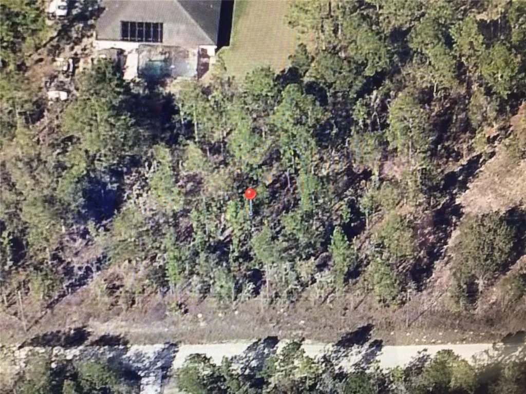 0 80 Street Dunnellon FL 34432