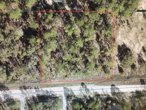 0 80 Street Dunnellon FL 34432