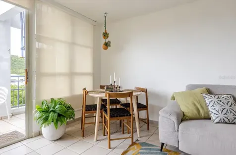 Colonia Santa Maria Costa Brava Condominium Ceiba PR 00735