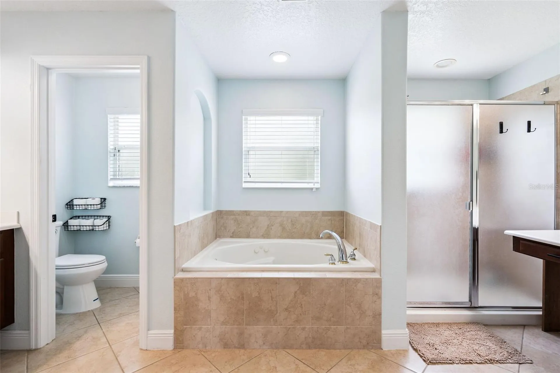 30148 Jutland Court Mount Dora FL 32757
