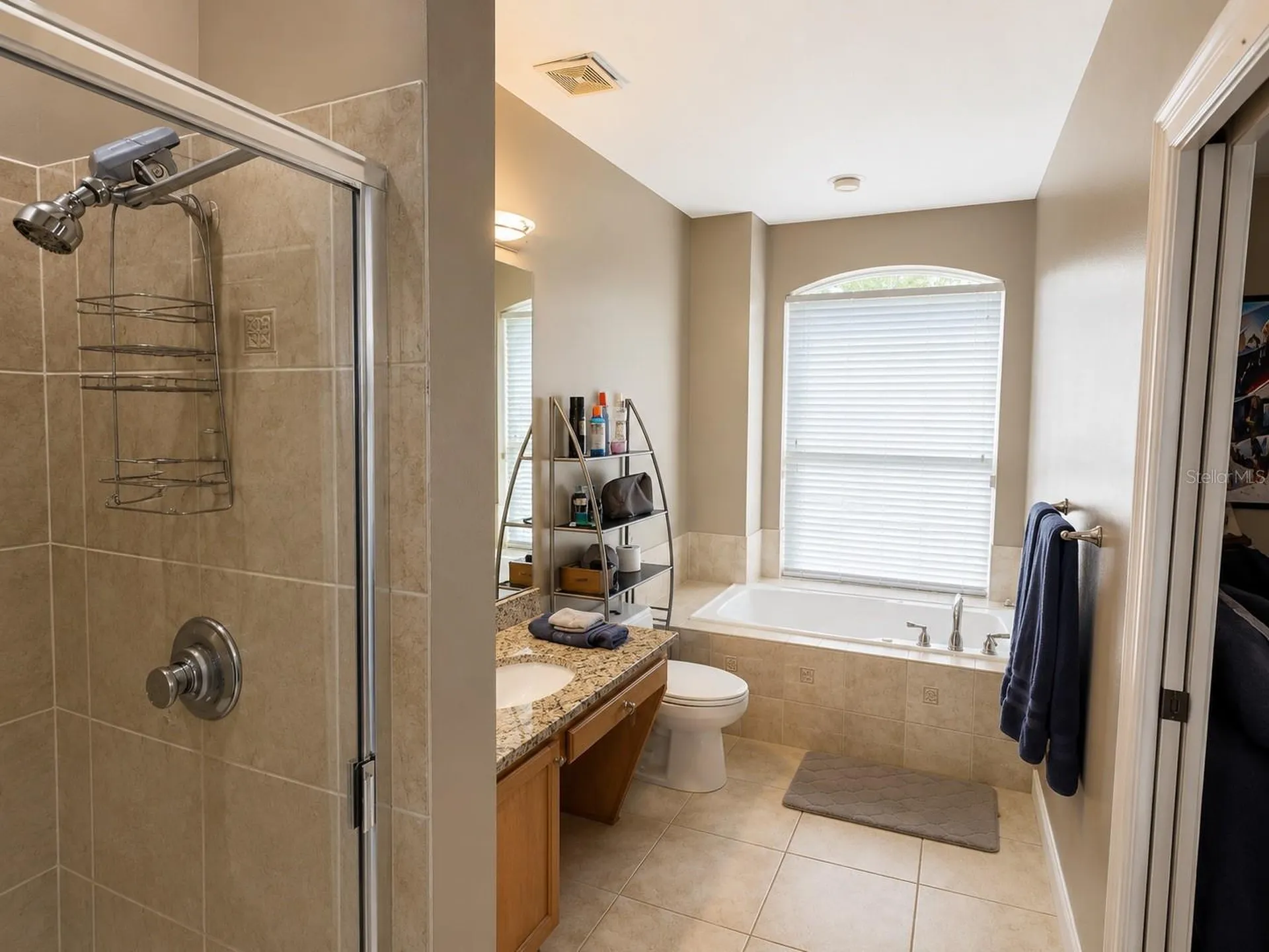 6203 Courtney Cove Apopka FL 32703
