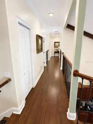 6203 Courtney Cove Apopka FL 32703