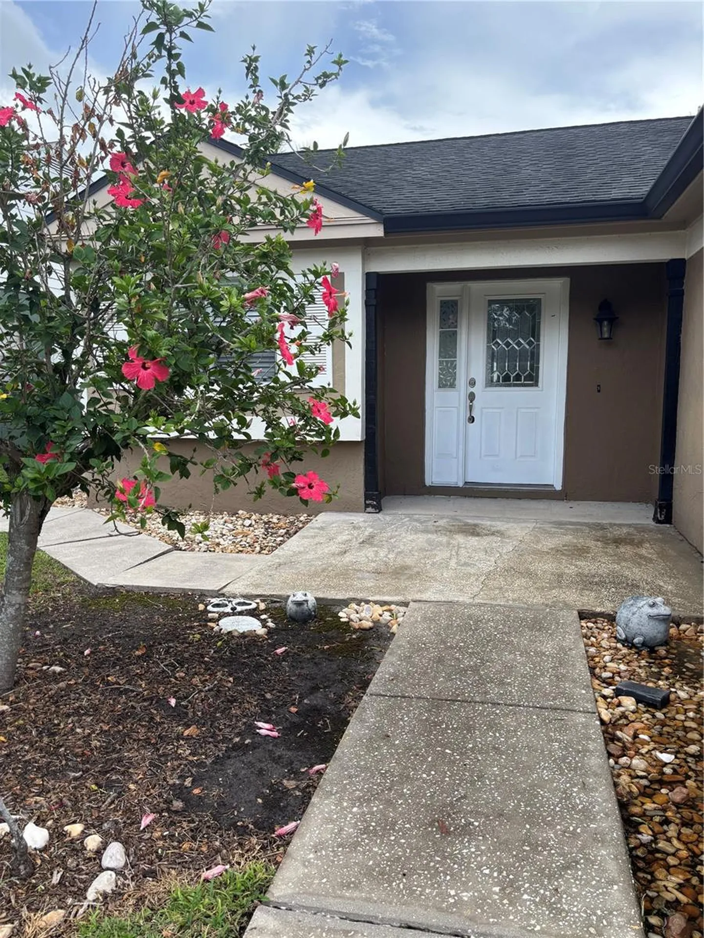 5029 Cypress Trace Drive Tampa FL 33624