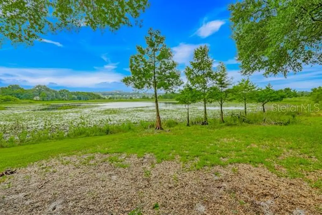 14436 Clerando Drive Clermont FL 34711