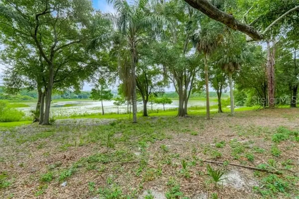 14436 Clerando Drive Clermont FL 34711