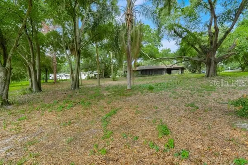 14436 Clerando Drive Clermont FL 34711