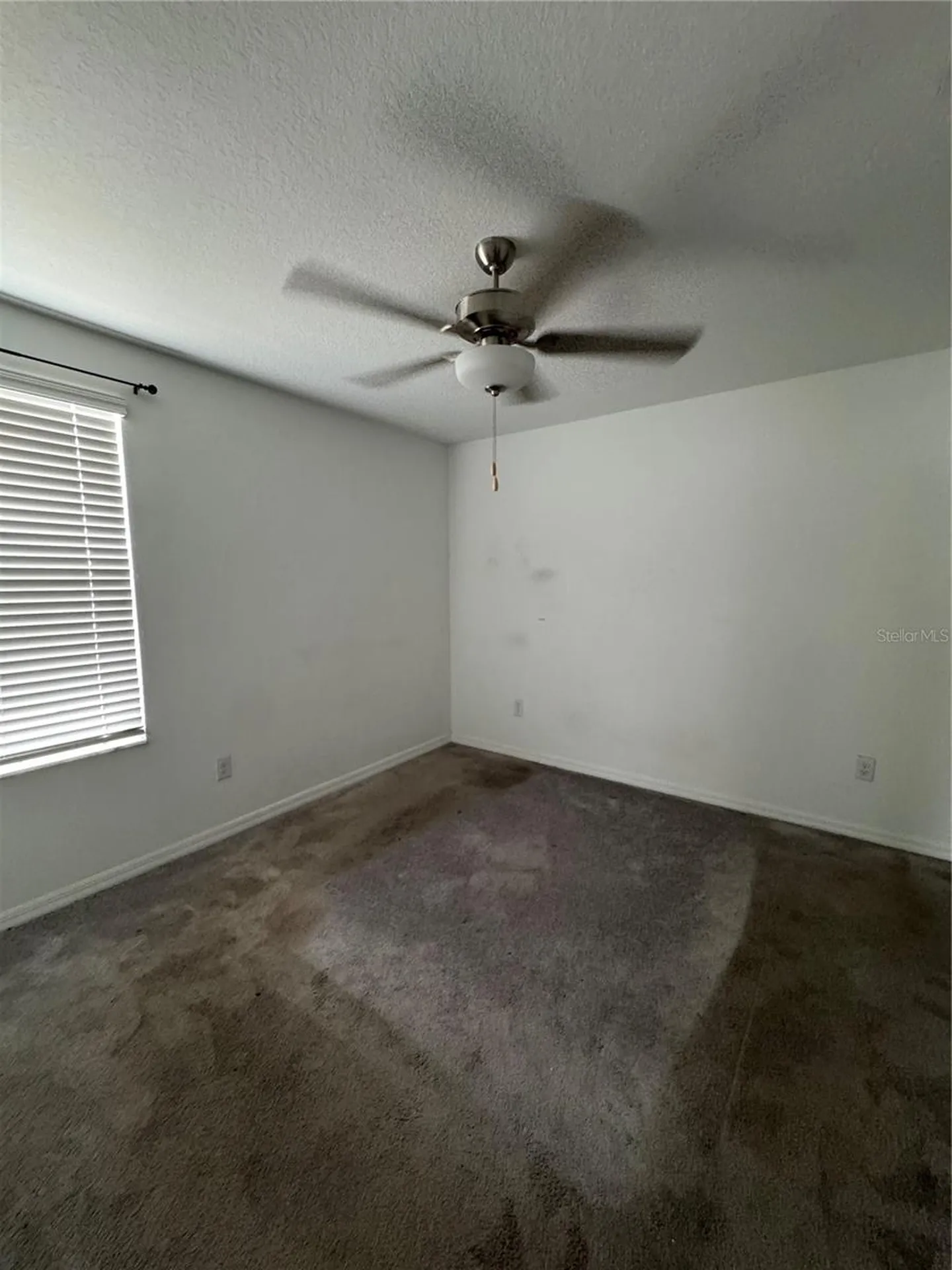 36569 Smithfield Lane Zephyrhills FL 33541