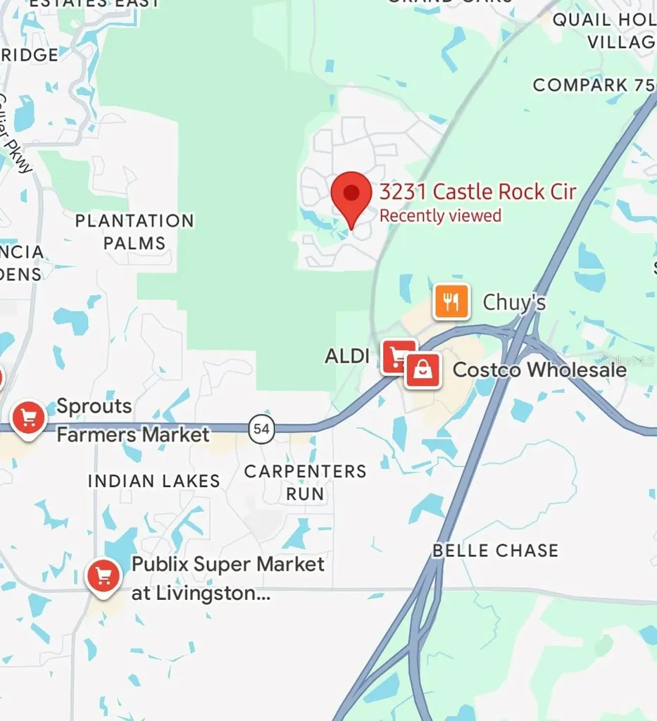 3231 Castle Rock Circle Land O Lakes FL 34639