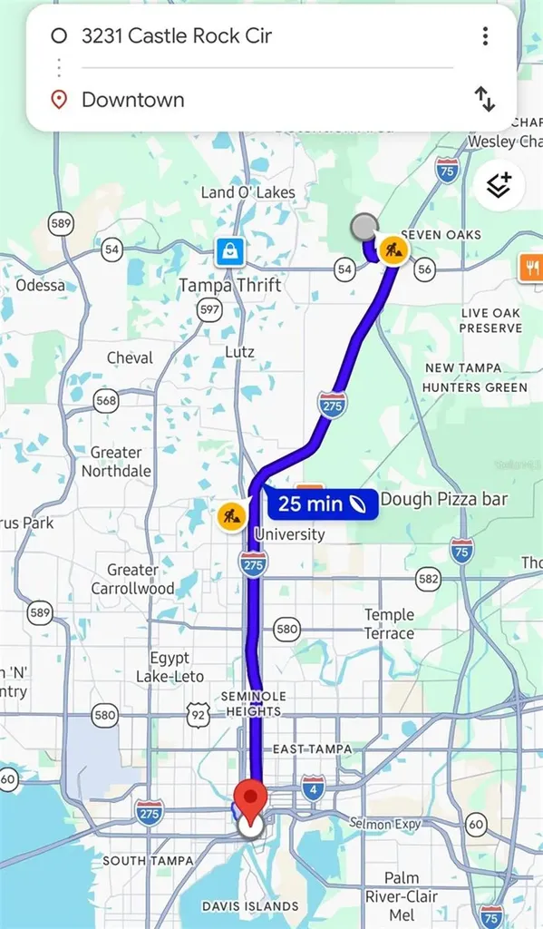 3231 Castle Rock Circle Land O Lakes FL 34639